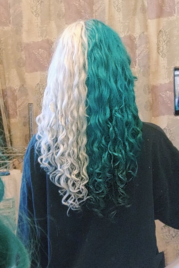 Blue And White Split Hair, Half Blue Half White Hair, Half Blonde Half Blue Hair, Hairdye Ideas For Curly Hair, Split Dyed Hair Blue, Light Blue Curly Hair, Half Coloured Hair, Blue Split Dye Hair, White Hair Curly