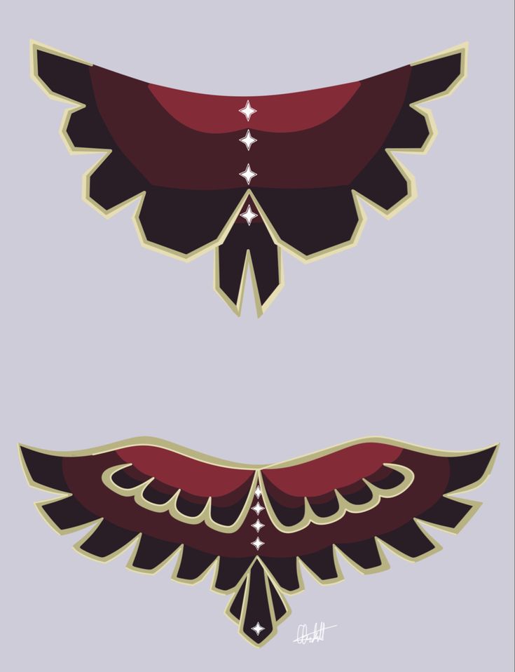 two wings with different shapes and colors