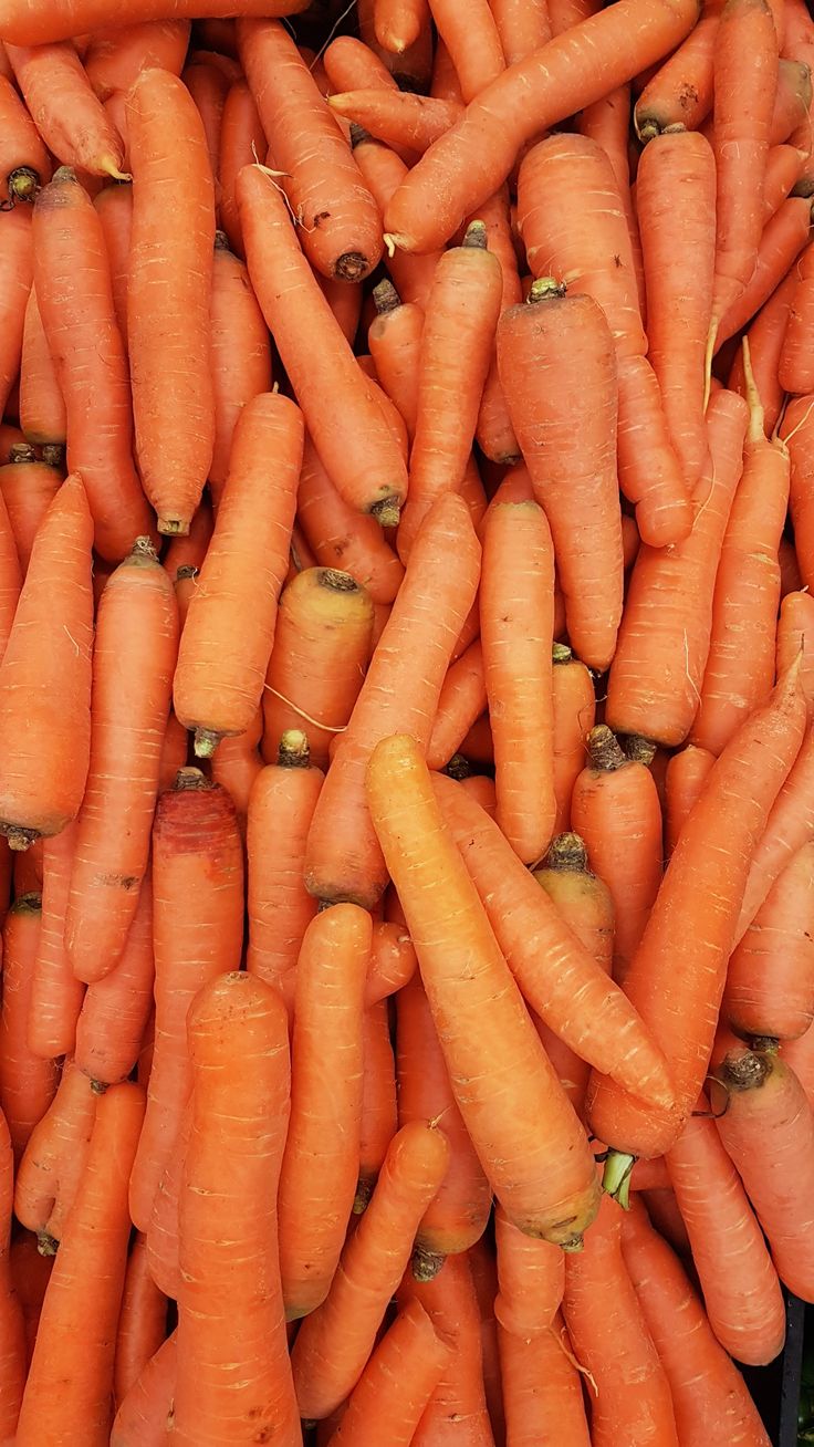 a pile of carrots sitting next to each other