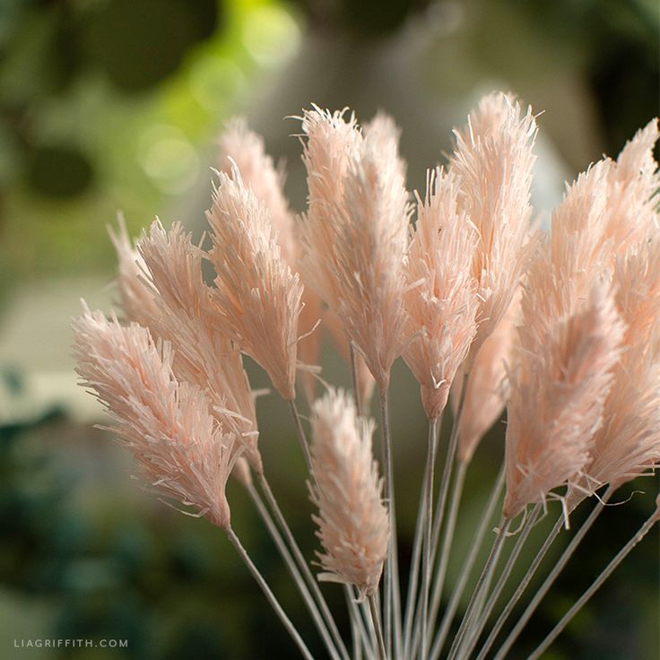 some very pretty pink flowers in a vase