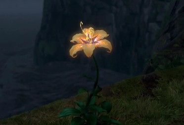 a flower that is sitting in the grass by some rocks and water with lights on it