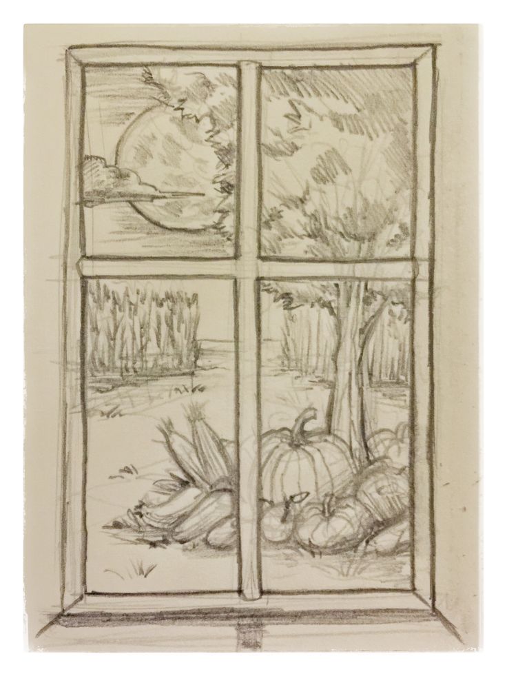 a drawing of a window with pumpkins in it