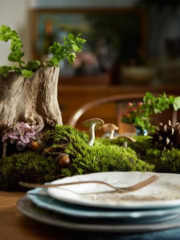 a table topped with plates covered in green plants and mushrooms next to a tree stump