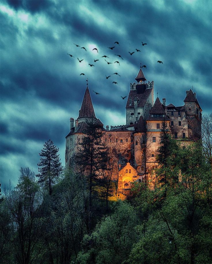 an old castle with birds flying over it at night in the sky above some trees