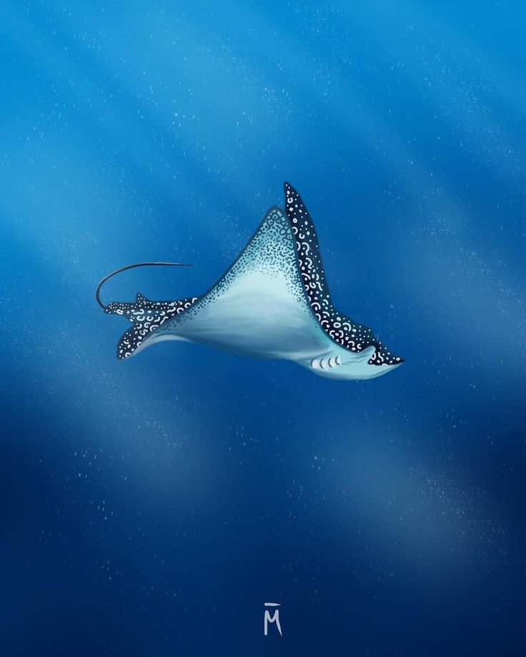 a painting of a manta ray swimming in the blue water with bubbles around it