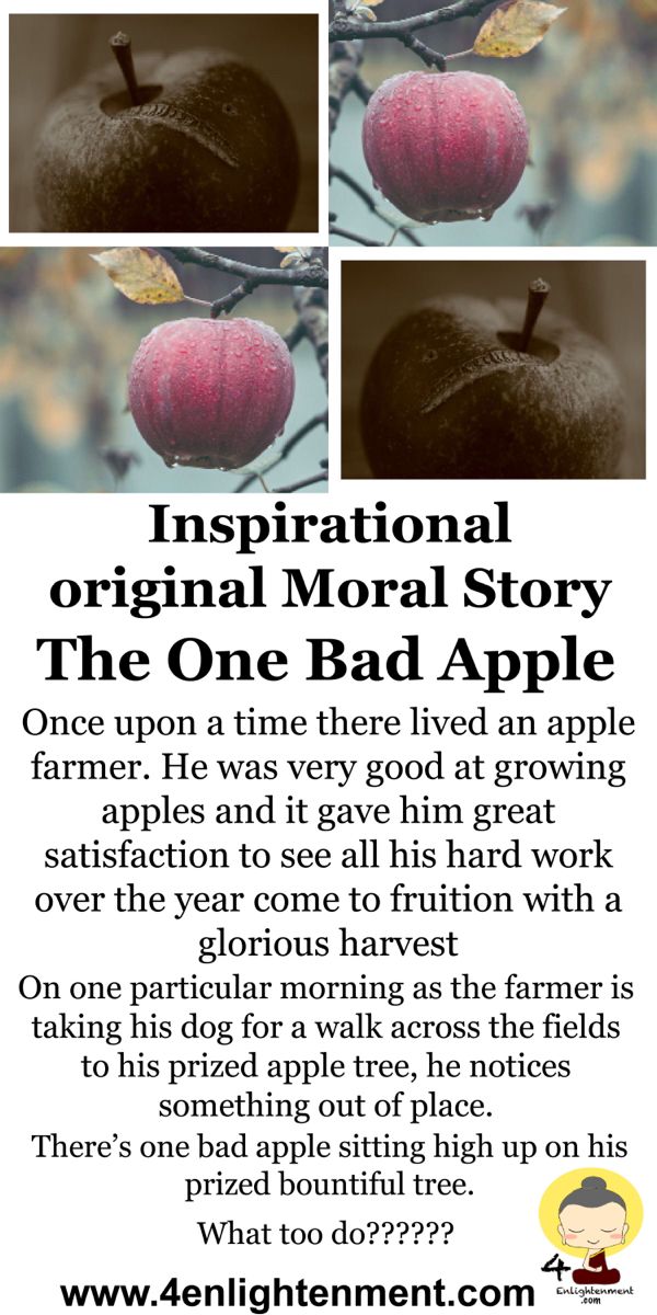 an advertisement for the apple festival with two pictures of apples hanging from it's branches