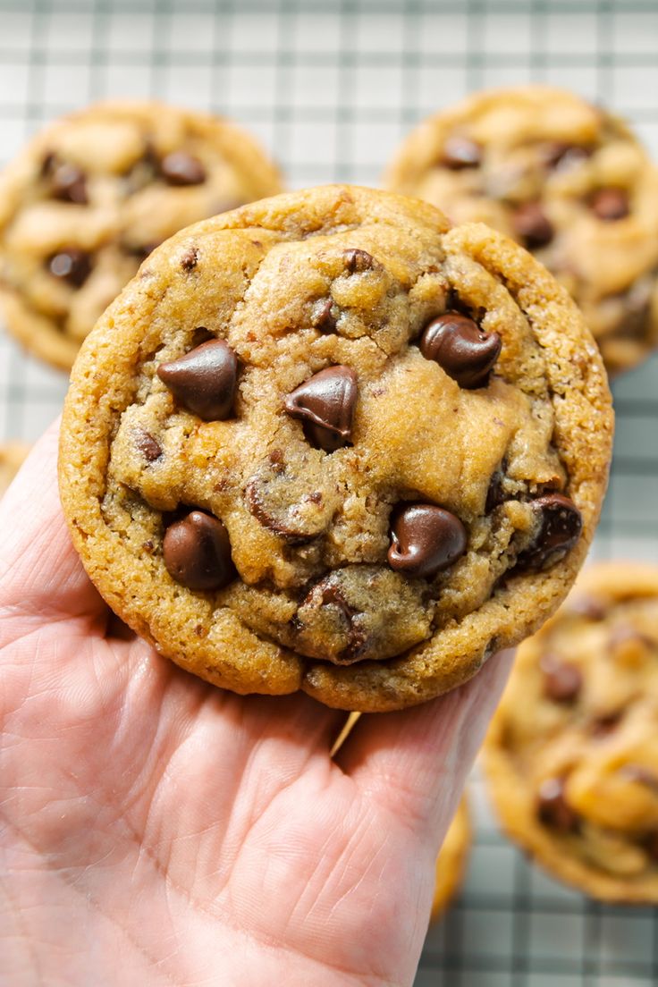 a hand holding up a chocolate chip cookie