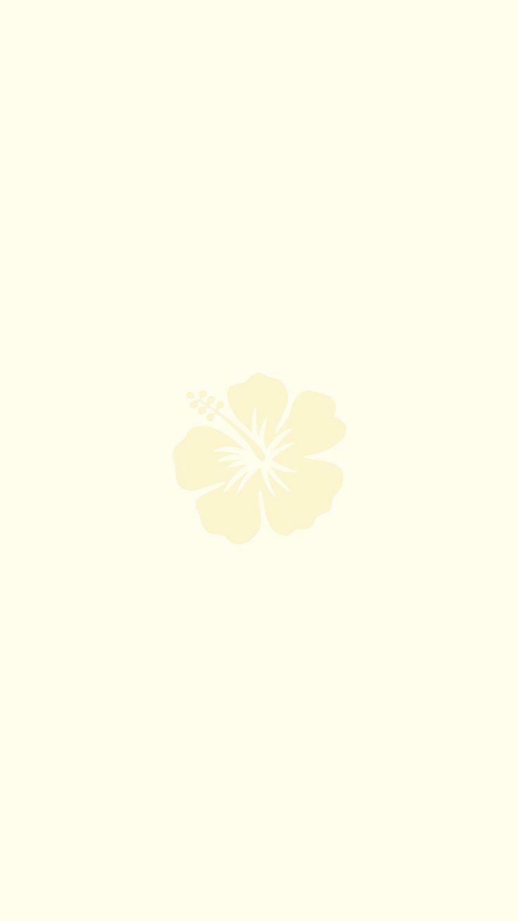 a white flower on a beige background