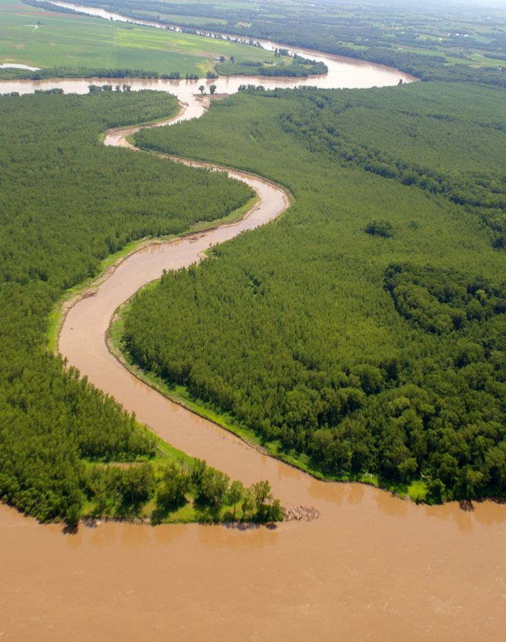 an aerial view of a river running through a lush green forest covered in mud and water