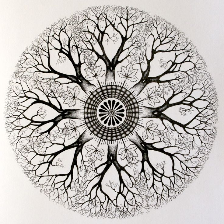 a drawing of a tree in the middle of it's branches, with an intricate circular design