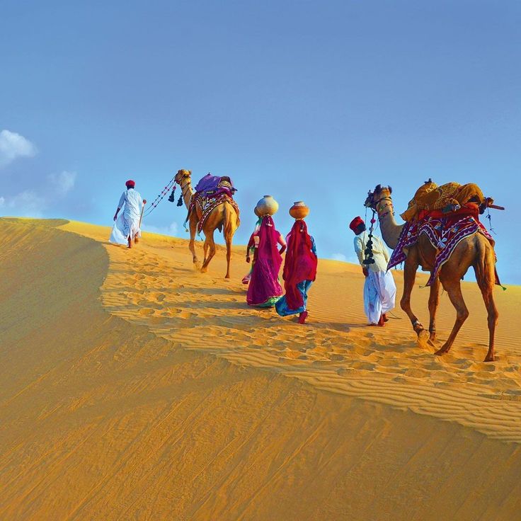 several people walking in the desert with camels