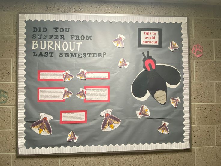 a bulletin board with paper cutouts on it in a school hallway that reads did you suffer from burnout last sinisterer?