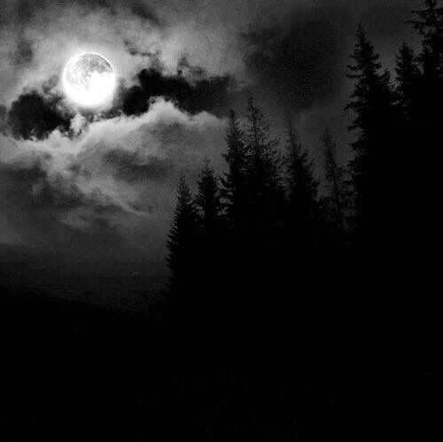 black and white photograph of full moon in cloudy sky with trees on the ground below