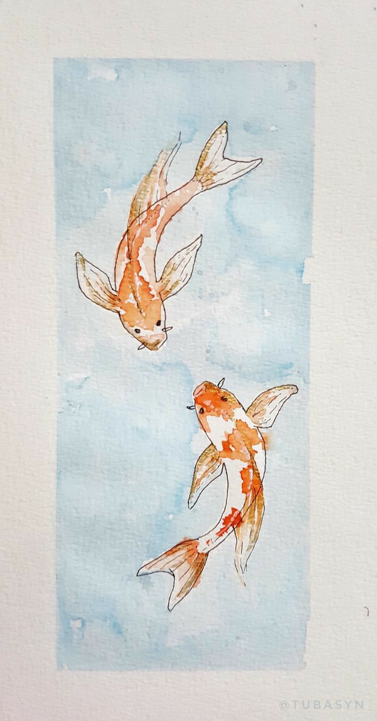 two orange and white koi fish flying in the sky with blue watercolors