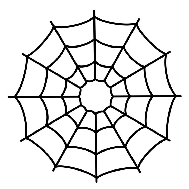 a spider web is shown in black and white