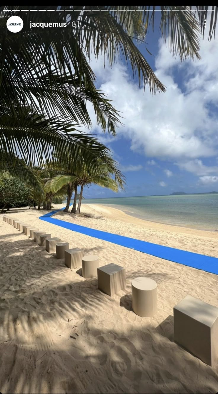 a row of benches sitting on top of a sandy beach next to the ocean and palm trees