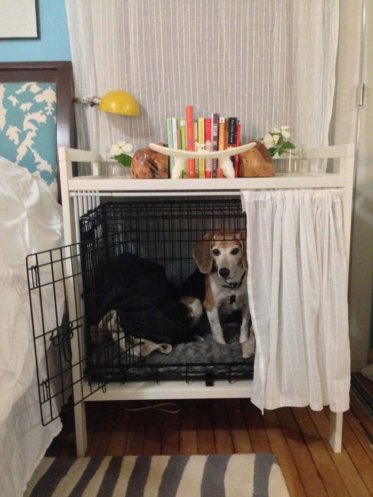 a dog sitting in its cage on the floor next to a table with books and other items