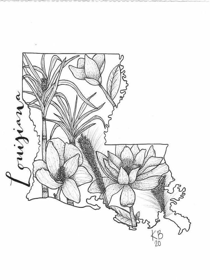 a drawing of the state of texas with flowers and leaves on it's map