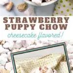 there is a book cover for the strawberry puppy chow