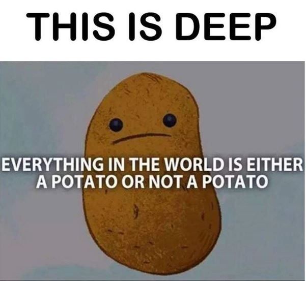 a potato with the caption'everything in the world is either a potato or not a potato '