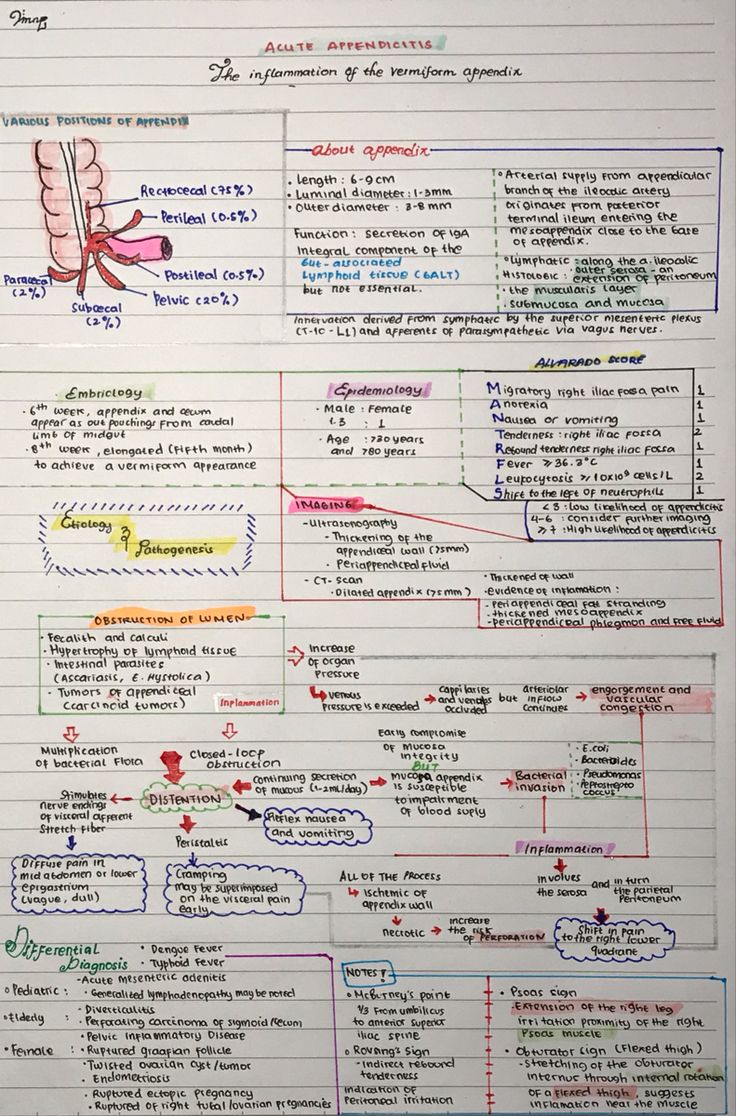 an info sheet with many different types of items in it and the words on each side