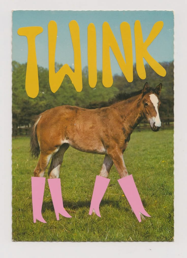 a brown horse with pink boots and the words twink on it's side