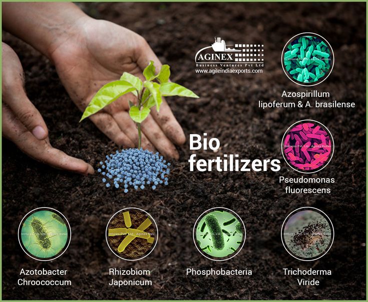 an advertisement for bio fertilizers in the soil with images of plants and insects