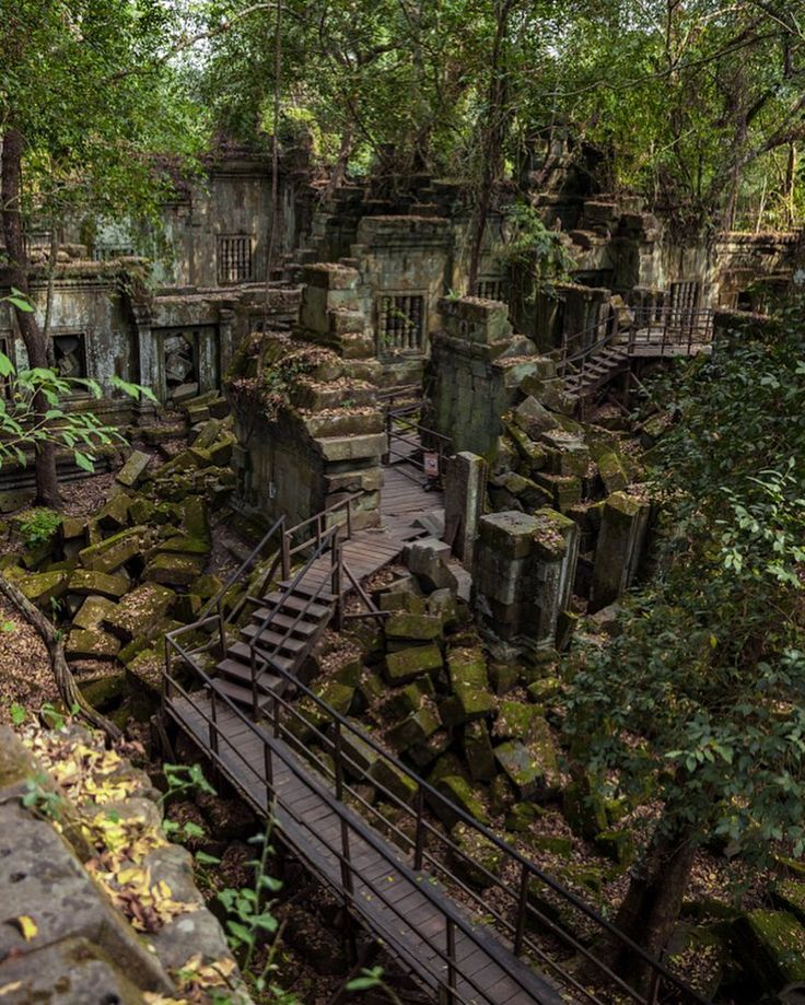 an abandoned building in the woods with stairs leading up to it and trees growing around