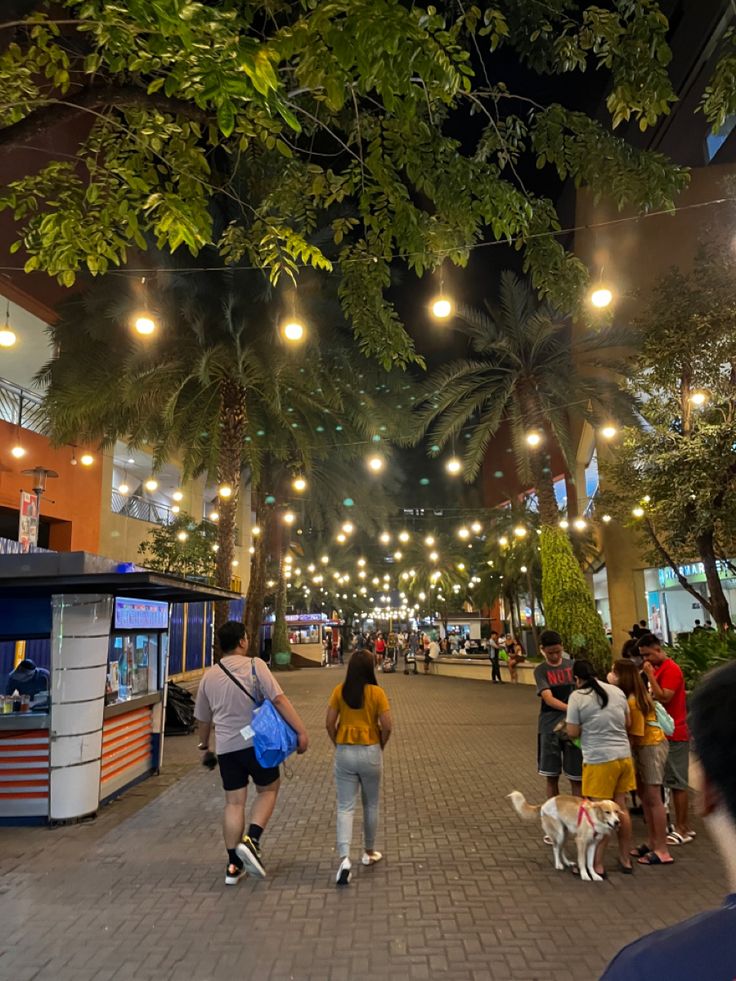 people walking down the street at night with lights strung above them and palm trees in the background