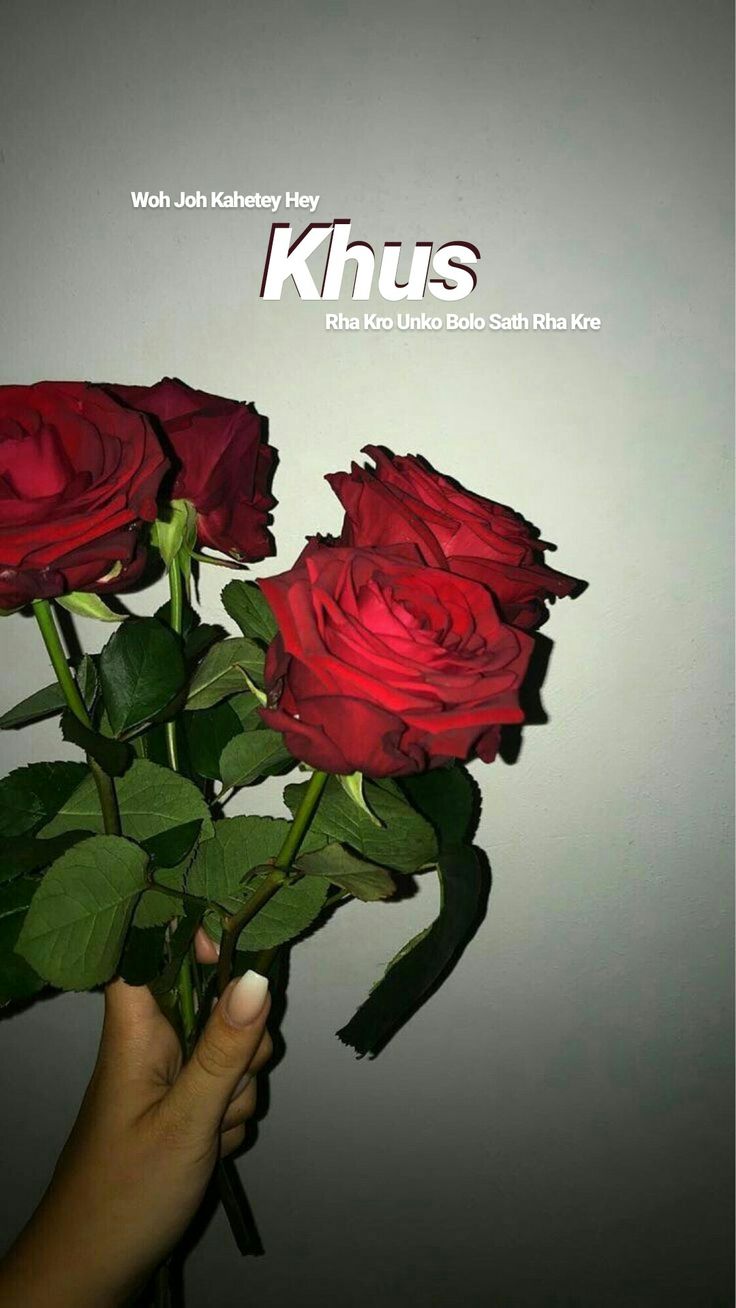 a hand holding three red roses with the caption khus on it's side