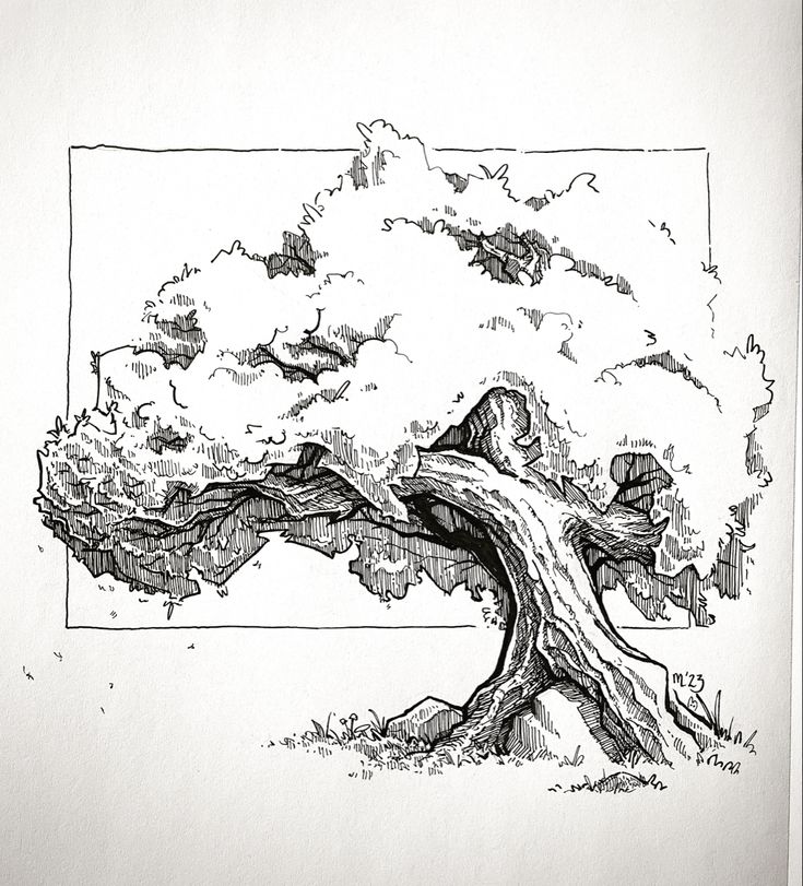 a black and white drawing of a tree