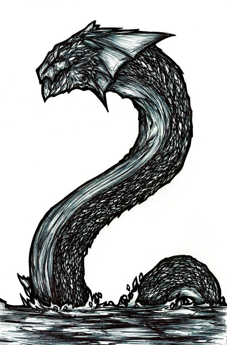 a black and white drawing of a snake in the water with its tail curled up