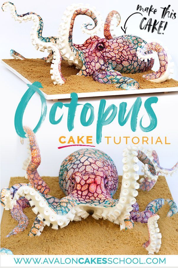 an octopus cake with the words octopus cakes on it and two pictures of them in front of