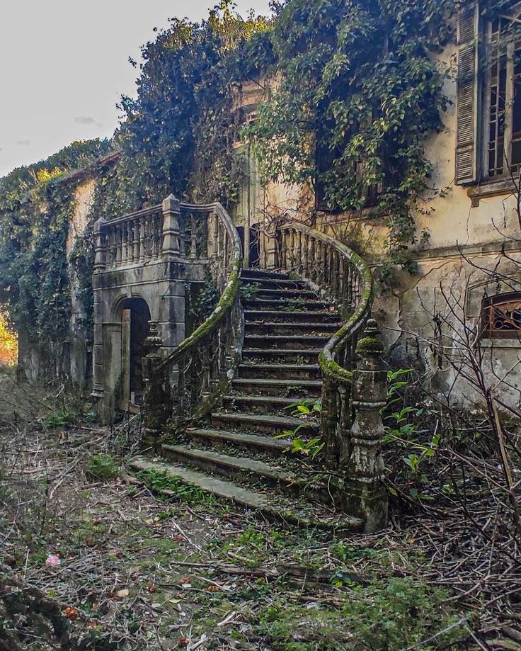 an old abandoned building with vines growing on the walls and steps leading up to it