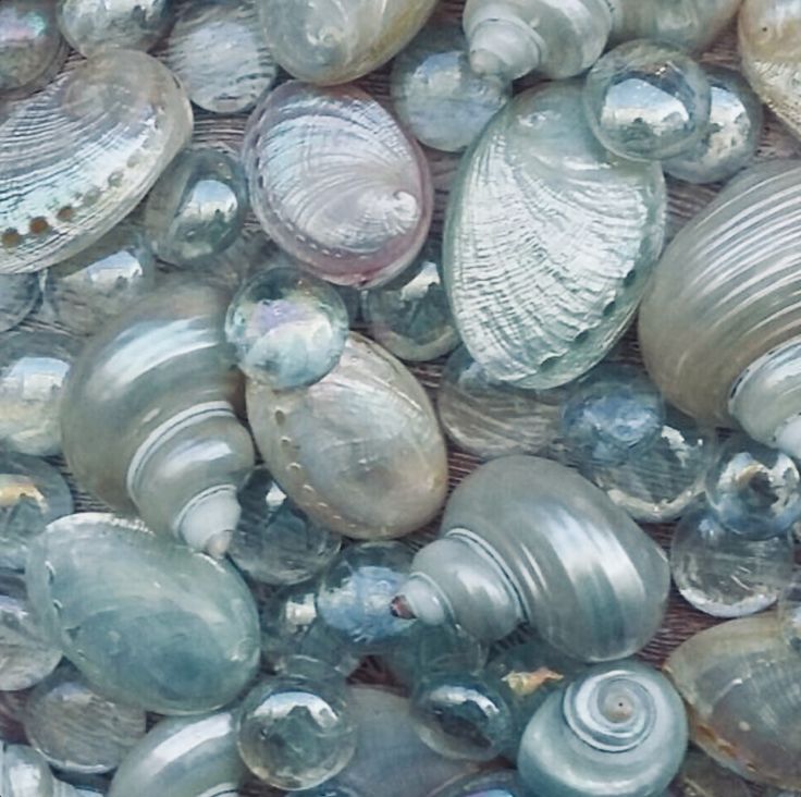 there are many different shells on the table together and one is in clear plastic bottles