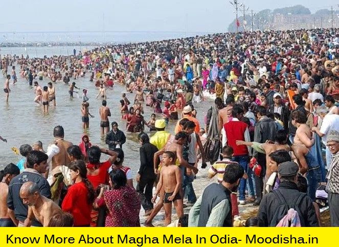 a large group of people standing in the water at a beach next to each other