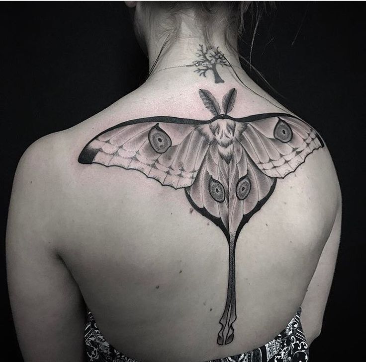 the back of a woman's neck with a moth tattoo on it