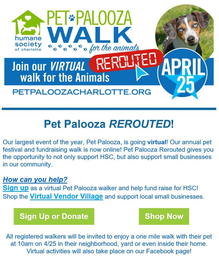 the flyer for pet paloza's walk