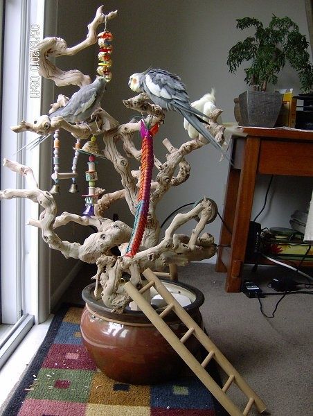 a bird perched on top of a tree branch with beads hanging from it's branches