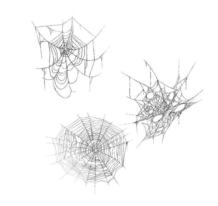 three spider webs are shown in black and white