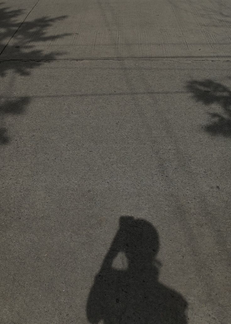 the shadow of a person riding a skateboard down a street next to a tree