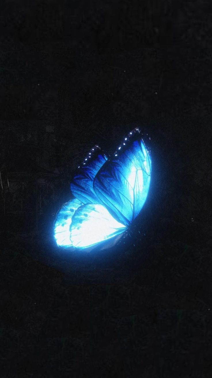 a blue butterfly is glowing in the dark