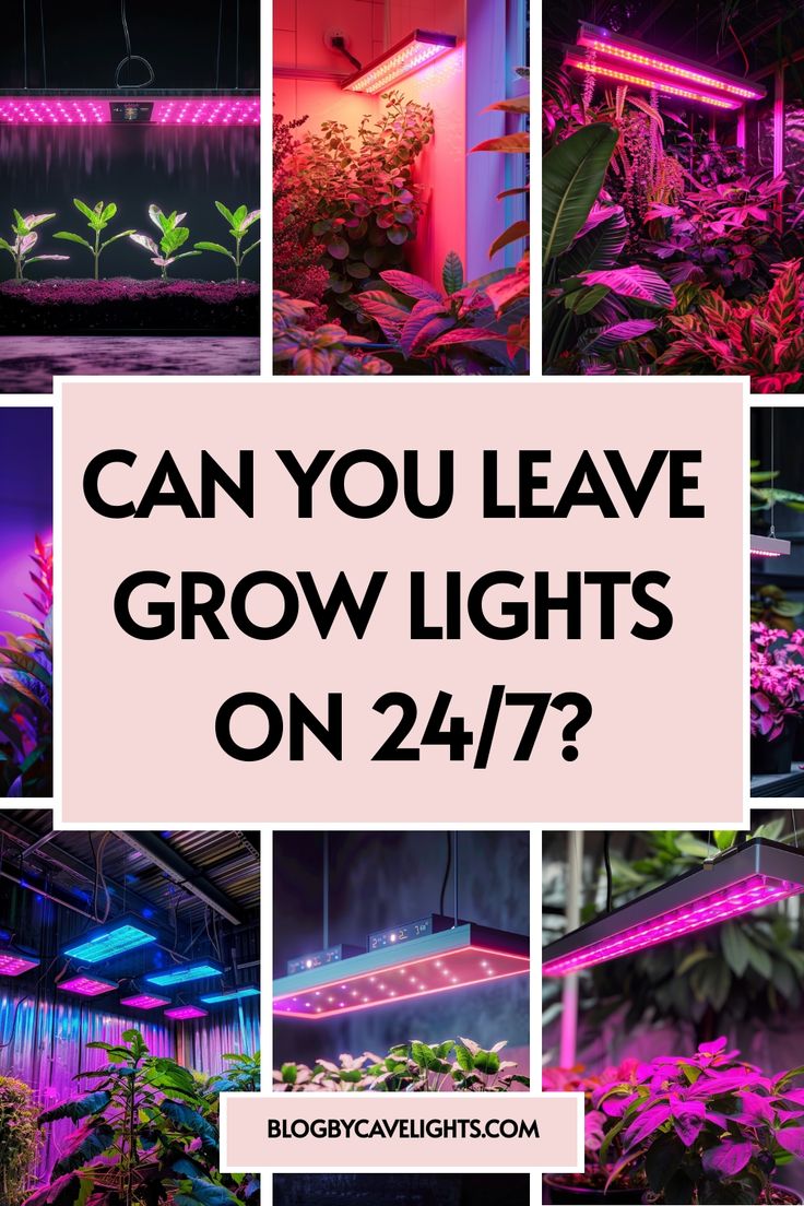 the words can you leave grow lights on 24 / 7?