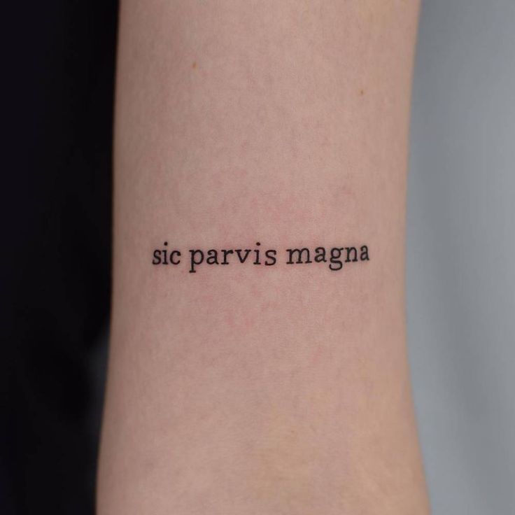 a woman's arm with the words sic parvis magna on it