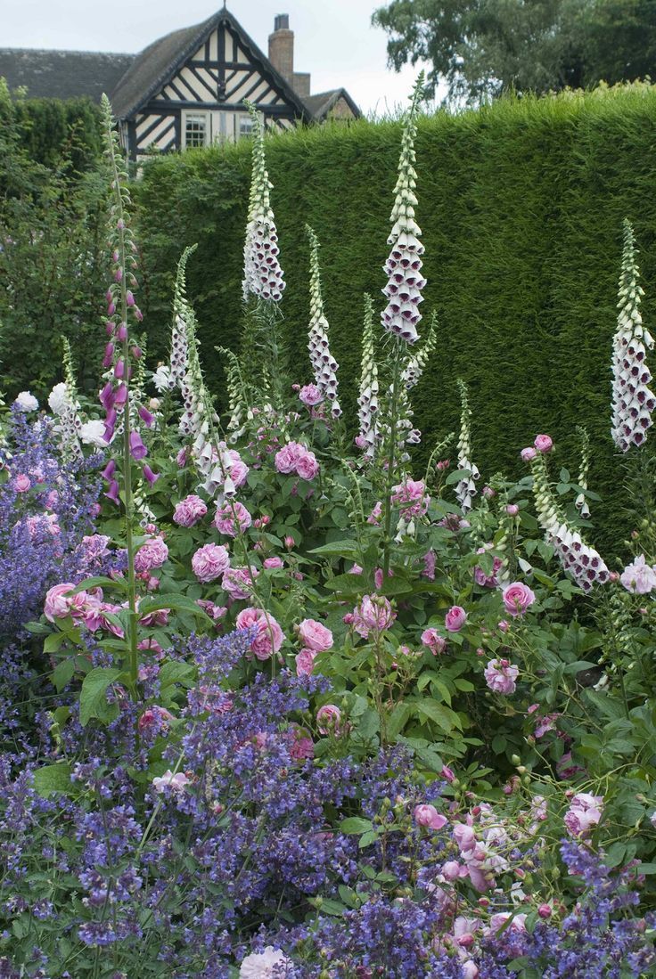 an instagram photo with flowers in the foreground and a house in the background