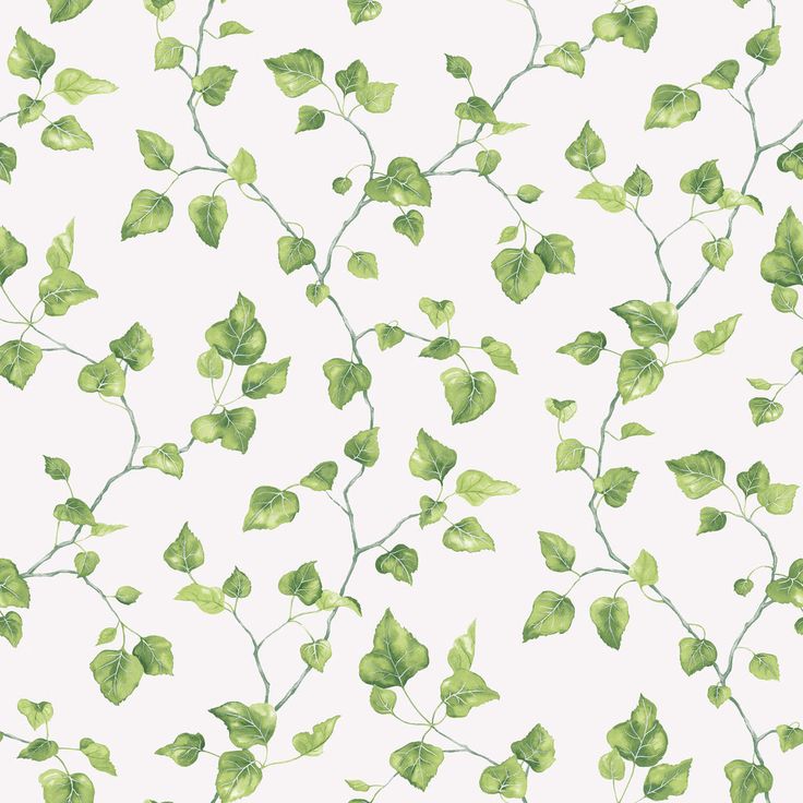 green leaves on a white background that looks like they have been painted in watercolor