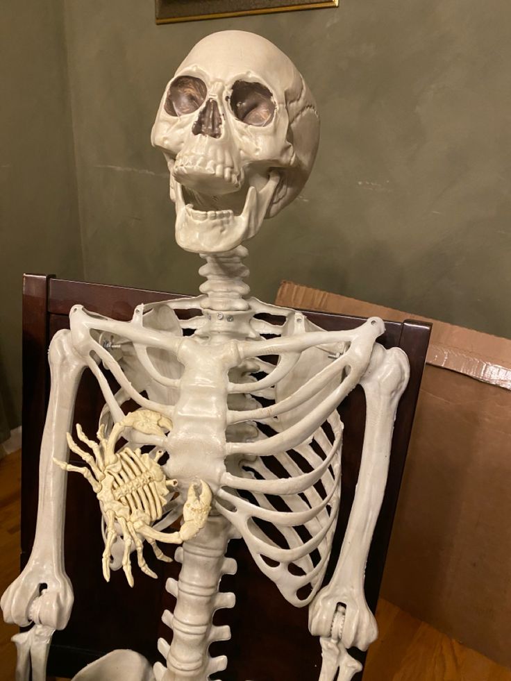 a skeleton sitting on top of a wooden table