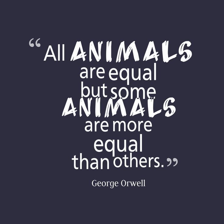 george orwell quote about animals