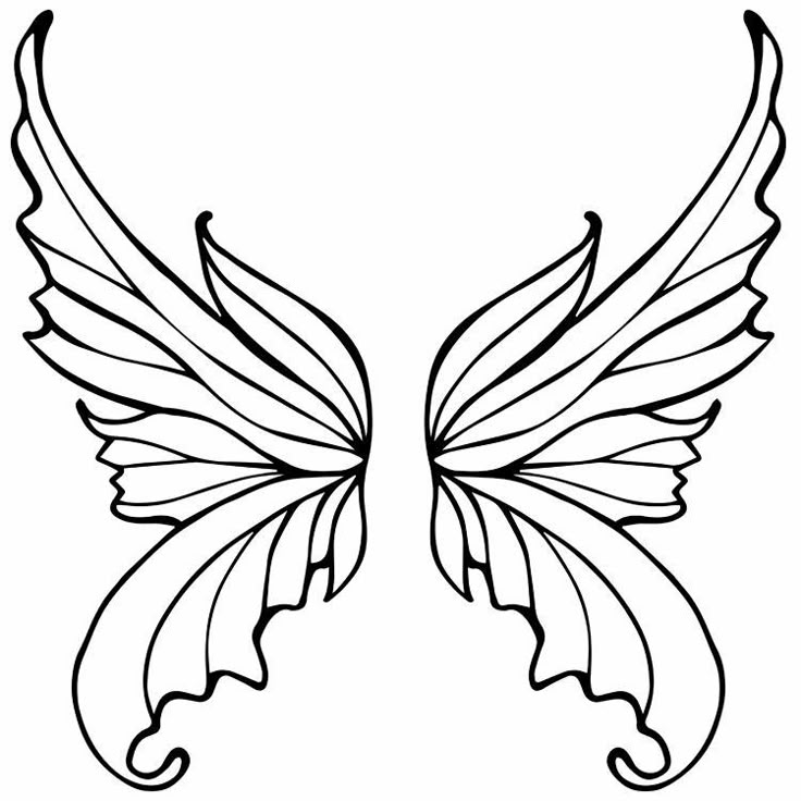 a black and white image of two wings