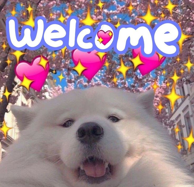 a white dog sitting in front of a welcome sign with hearts and stars on it